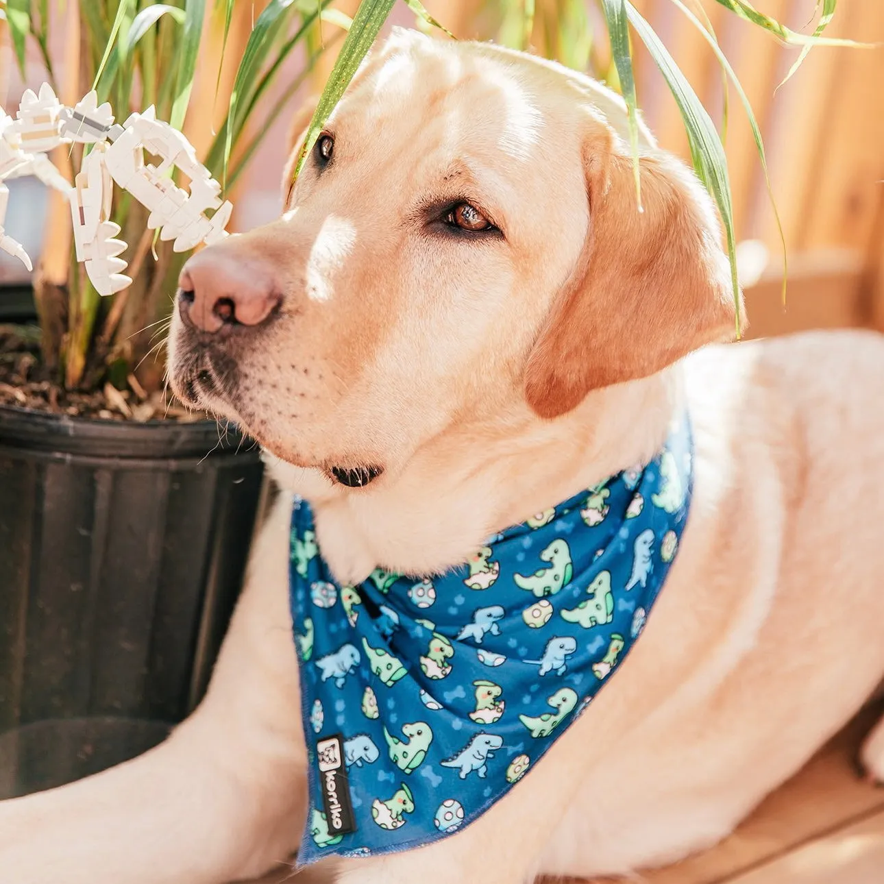 cooling bandana - dino